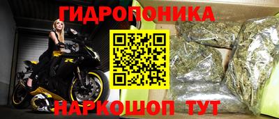 гашик Малгобек